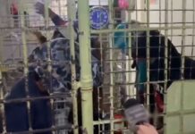 4 Gas Station Robbers Arrested in Calumpit, Bulacan