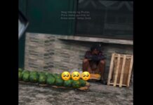 Fruit Vendor Throws Away Goods After Failing to Make Single Sale