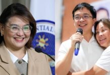 Castro Breaks Silence on Leviste Libel Complaint