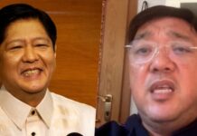 Harry Roque Asserts Having No Desire To Stay Long Abroad