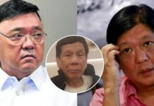 Harry Roque Claims Marcos Jr. Allegedly Gave Direct Instructions amid Duterte’s Arrest