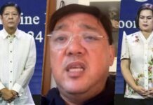 Harry Roque Compares Sara Duterte, Marcos Jr. over Educational Attainment