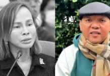 Harry Roque Thanks Former DPWH Usec. Cathy Cabral for Allegedly Leaving “Smoking Gun”
