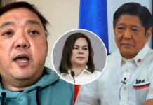 Harry Roque Calls on Sara Duterte To Be Careful over Alleged Order of Marcos Jr. If He Dies