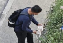 Former Mall Security Guard Jailed & Fined for Throwing Puppy From Footbridge