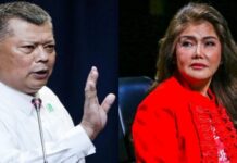 Ombudsman Boying Remulla Reacts To Imee Marcos’ Claim over Filing of Flood Control Raps