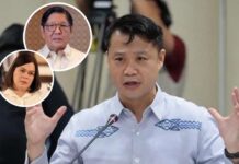 Sherwin Gatchalian Speaks on Impeachment Moves vs. Marcos Jr., Sara Duterte
