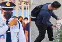 Viral Security Guard Guilty Beyond Reasonable Doubt After Throwing Puppy From Footbridge