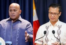 Bato dela Rosa Should Go Back To Work – Win Gatchalian