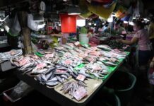 Female Fish Vendor Dies from Leptospirosis, Disease Reportedly Contracted at Public Market