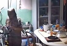 Woman Alarmed After Mother Mistakes Electric Kettle for Regular Teapot on Stove