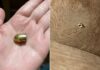 Stray Bullet Pierces Boarding House in Kidapawan City
