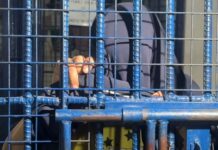 Man Arrested for Touching Grade 2 Pupil in Marikina in Exchange for P25