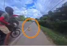 Couple Leaves Child on Road After Heated Argument in Bohol
