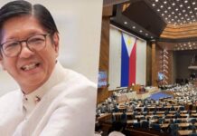 Marcos Jr. Impeachment: House Affirms Dismissal of 2 Impeach Raps Filed vs. President