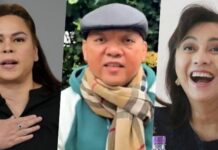 Harry Roque Claims Leni Robredo, Kakampink may Support Sara Duterte in 2028 Bid for President