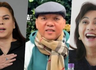 Harry Roque Claims Leni Robredo, Kakampink may Support Sara Duterte in 2028 Bid for President