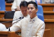 Sandro Marcos Pushes for “No Work, No Pay” Scheme for House Members