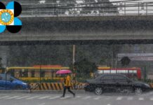 PAGASA Raises Signal No. 2 in 8 Areas Due to Tropical Storm Basyang