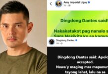Dingdong Dantes Accepts Apology Of Netizen Who Posted About VP Sara Duterte