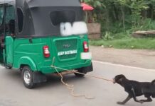 Dog Spotted Being Dragged by Tricab in Villanueva, Misamis Oriental