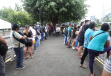 Lady Netizen Shares Frustration Over Extremely Long Lines at Government Offices