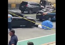 Student Jumps From LRT-1 Platform & Gets Hit by Vehicle on Road Below