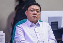 Harry Roque Faced w/ Land-Grabbing Complaint Filed by Farmers in Mariveles, Bataan