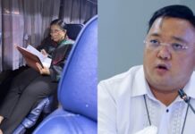 Harry Roque Criticizes Mayor Leni Robredo for Riding Public Bus