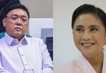 Mayor Leni Robredo Fires Back at Harry Roque in the Most Subtle Way
