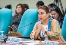 Loren Legarda Questions 12% VAT in Noodles, Sardines Citing the Same Tax in Luxury Bags