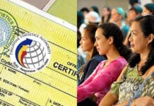 Free PSA Documents for Women Announced for National Women’s Month