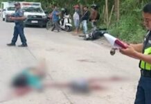 65 Year Old Woman Rider Dies After Being Crushed by Falling Tree on the Road