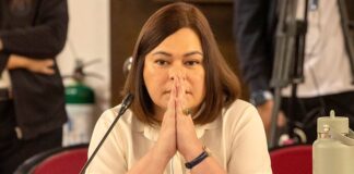 Paolo Duterte Claims “Outright Coercion” Allegedly Starts in House over VP Sara’s Impeachment