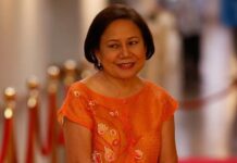 Cynthia Villar Denies Land-Grabbing Accusation