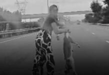 Driver Faces LTO Action After Stopping on NLEX to Pick Up Dog’s Body