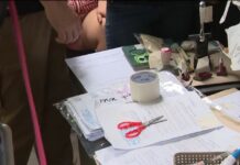 Woman Running Fake Notary Service in Store Arrested