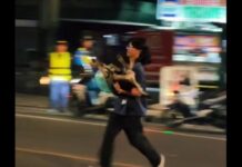 Good Samaritan Praised for Helping Dog Hit by Motorcycle Rider