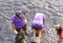 Newborn Baby Found Lifeless in River in Quezon
