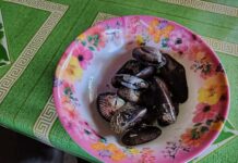 6 Residents in Bacolod Suffer Suspected Food Poisoning After Eating Shellfish