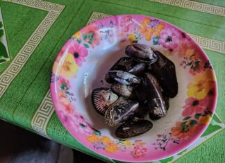6 Residents in Bacolod Suffer Suspected Food Poisoning After Eating Shellfish
