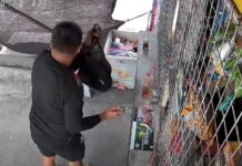 Store Owner Loses P170,000 to “Pamimingwit” Modus in Tabaco City