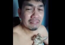 Content Creator Becomes Emotional After Passing of His Pet Cat