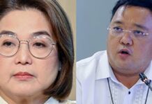 Harry Roque Slammed By Palace: “Why believe a fake news peddler?”