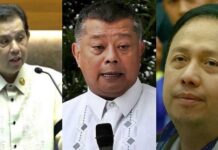 Martin Romualdez’s Request To Travel To Singapore after Zaldy Co’s Arrest Denied
