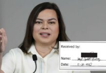 Mary Grace Piattos, Kokoy Villamin, and Others Have No Records, PSA Reiterates