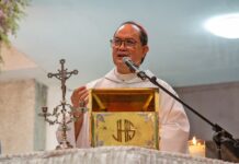 Animal cruelty has no place in church — cardinal