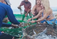 Foreign Tourists Join Traditional Fishing Activity in Palawan, Receive Share of the Catch