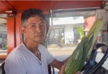 Jeepney Driver Turns to Selling Vegetables Amid Rising Fuel Prices