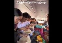 Jeepney Passengers Help Vendor Prepare Lumpia Wrappers While Waiting